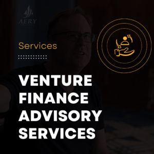 Venture Finance Advisory Services